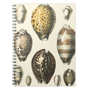 Carnet Coquillages uniquement formés