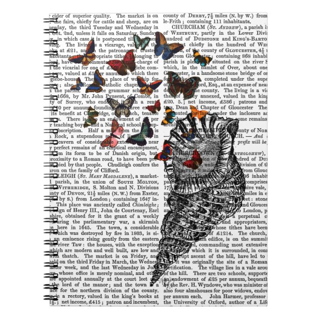 Carnet Coquille de conque et papillons 2 (Devant)