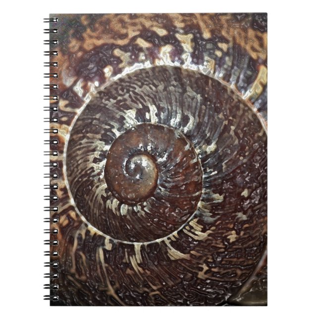 Carnet Coquille d'escargot (Devant)
