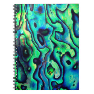 Carnet Coquille d'ormeau bleu azur