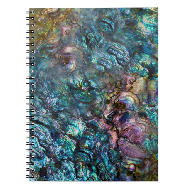 Carnet Coquille d'ormeau iridescente arc-en-ciel (Devant)