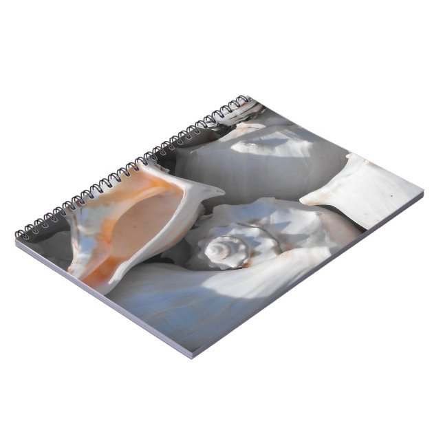 Carnet Coquilles de Conque de Près (Côté gauche)
