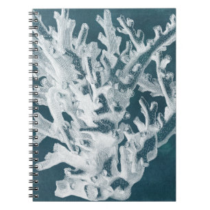 Carnet Corail azuré I
