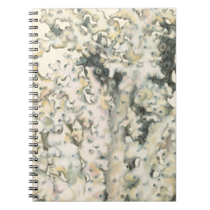 Carnet Corail d'aquarelle antique