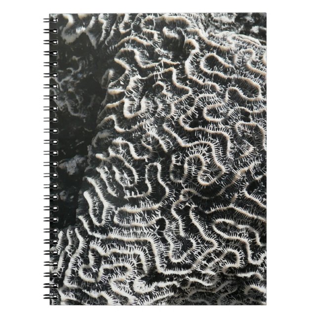 Carnet Corail noir et blanc I Abstrait Nature Photo (Devant)