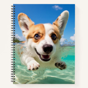 Carnet Corgi animal chien animal chien jeu eau