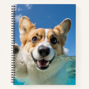 Carnet Corgi animal chien animal chien jeu eau