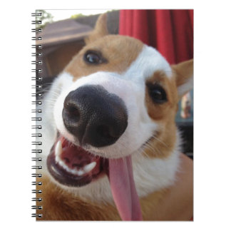 Carnet Corgi rouge et blanc de Gallois de Pembroke