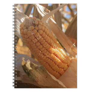 Carnet Corne de campagne d'automne sur Stalk