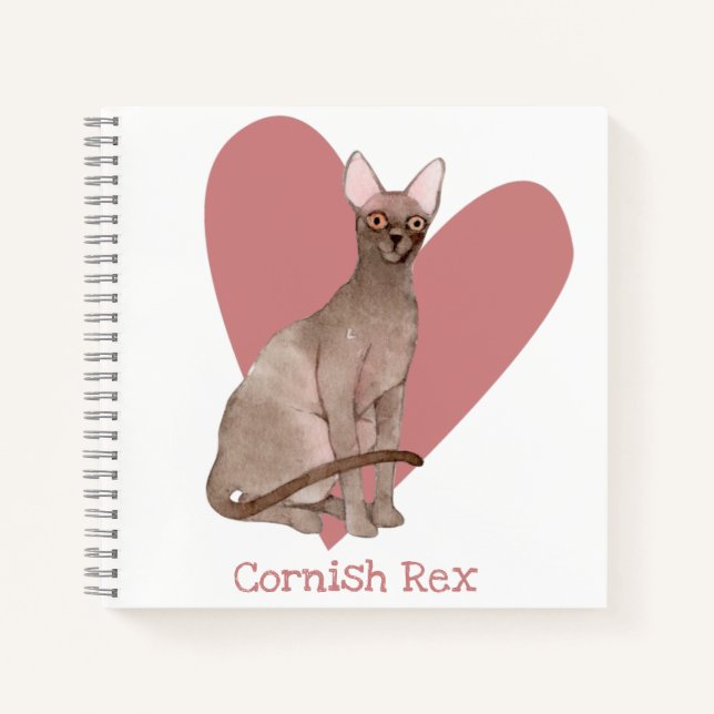 Carnet Cornouailles Rex Chat Aquarelle Kitty Coeur rose (Devant)