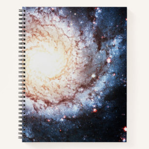 Carnet Cosmos colorés