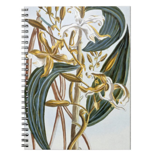 Carnet Cosses de vanille, plat 65, de 'collection (Devant)