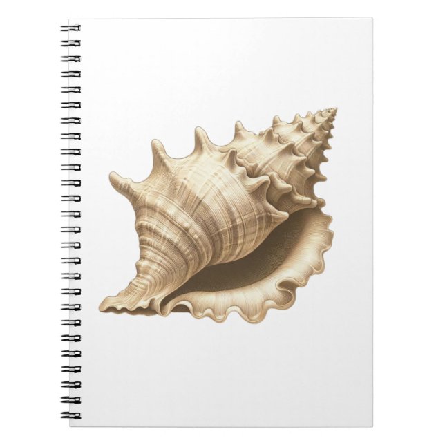 Carnet Coteau/plage/coquillage nautique (Devant)