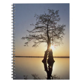 Carnet Coucher de soleil derrière un arbre