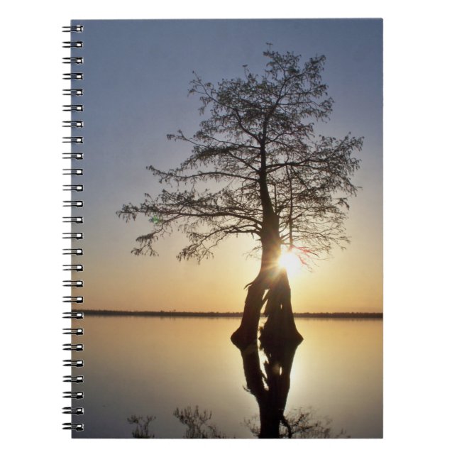 Carnet Coucher de soleil derrière un arbre (Devant)