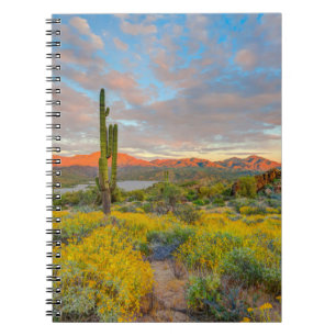 Carnet Coucher de soleil sur paysage désertique