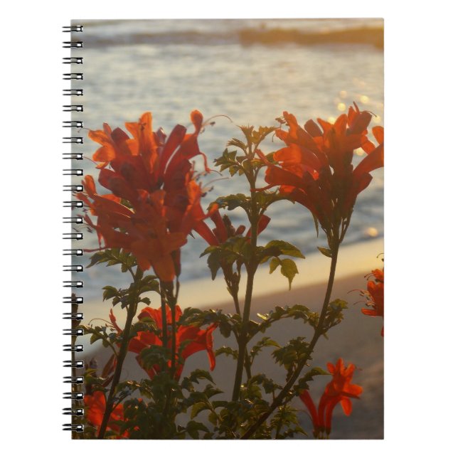 Carnet Coucher du soleil fleuri de plage (Devant)