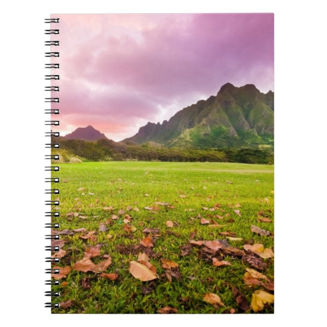Carnet Coucher du soleil jurassique (Devant)