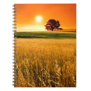Carnet Coucher du soleil rouge sang