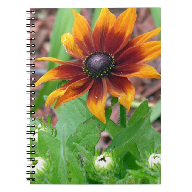 Carnet Couleurs d'automne (Devant)