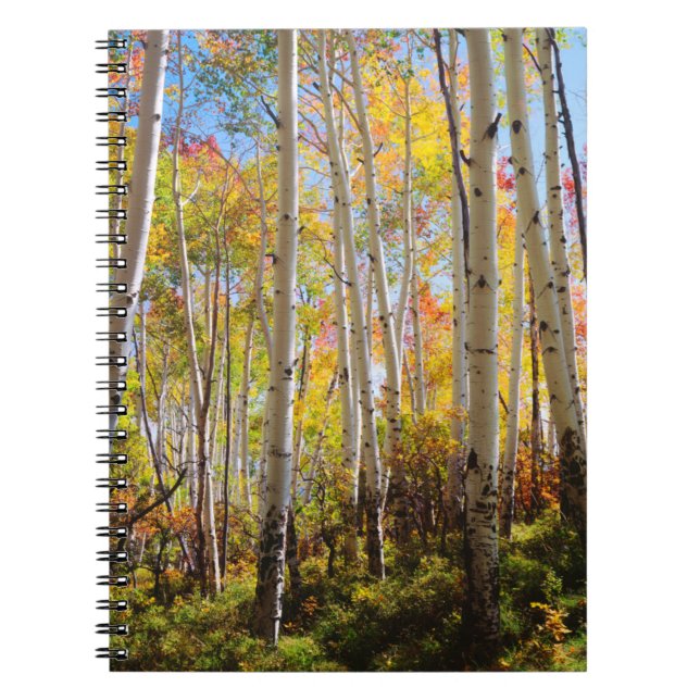 Carnet Couleurs d'automne des arbres d'Aspen 5 (Devant)
