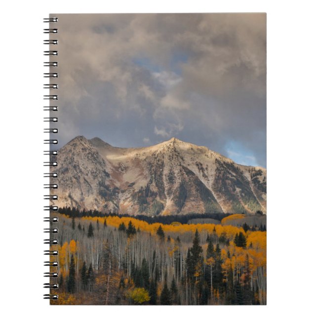 Carnet Couleurs d'automne des peupliers trembles, Keebler (Devant)