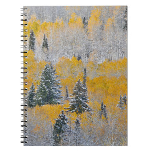 Carnet Couleurs d'automne des trembles et neige fraîche K