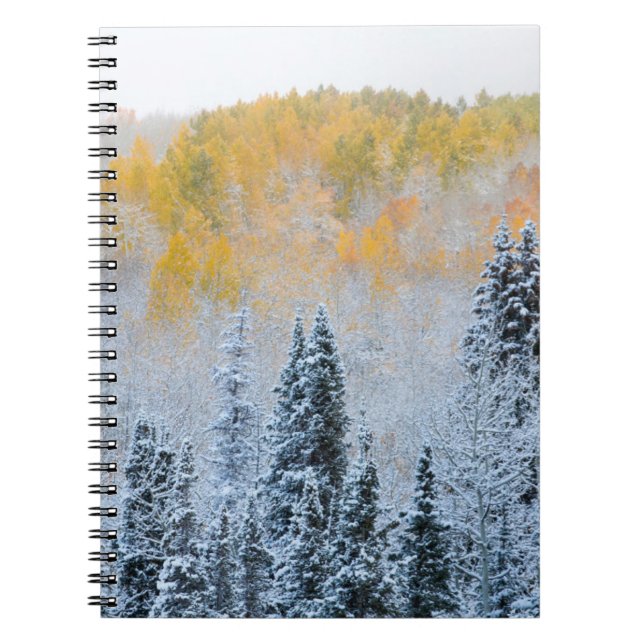 Carnet Couleurs d'automne des trembles et neige fraîche K (Devant)