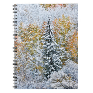 Carnet Couleurs d'automne des trembles et neige Keebler P