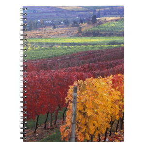 Carnet Couleurs d'automne rouges et jaunes intenses sur G