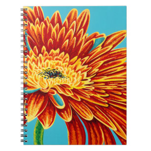 Carnet Couleurs éclatées I