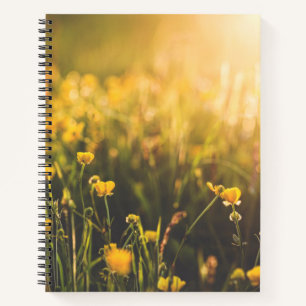 Carnet Coupe de beurre - Coucher du soleil