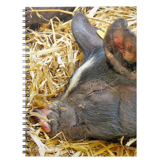 CARNET COUPER (Devant)