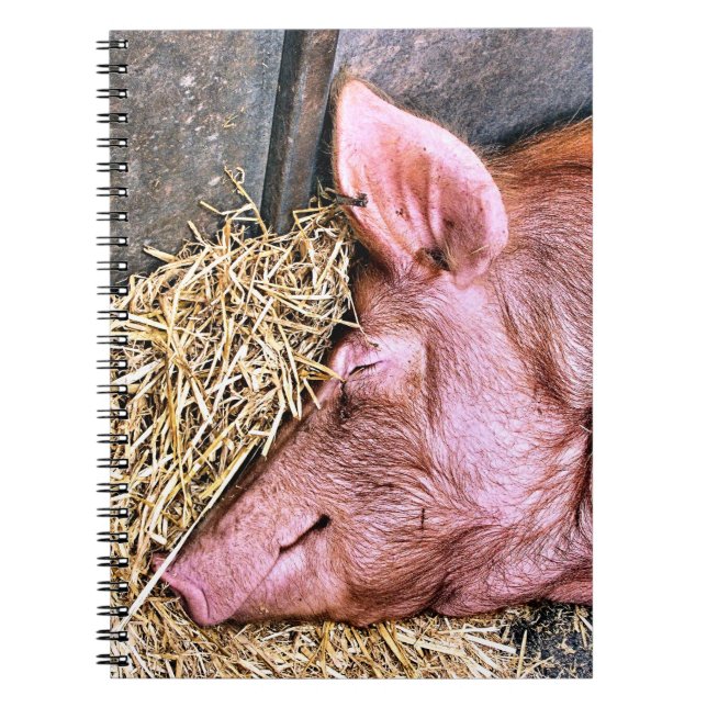 CARNET COUPER (Devant)