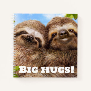 Carnet Couple de paresseux