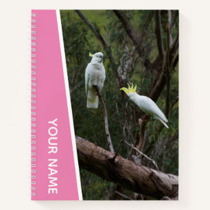 Carnet Couple de perroquets australiens cacatoès, rose