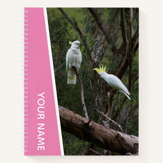 Carnet Couple de perroquets australiens cacatoès, rose (Devant)
