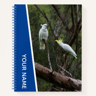Carnet Couple de perroquets cacatoès d'Australie, Bleu