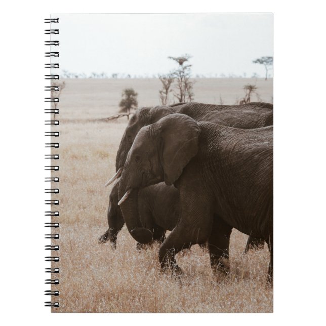 CARNET COURSE D'ÉLÉPHANTS (Devant)