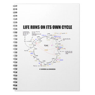 Carnet Courses de la vie sur son propre humour de cycle