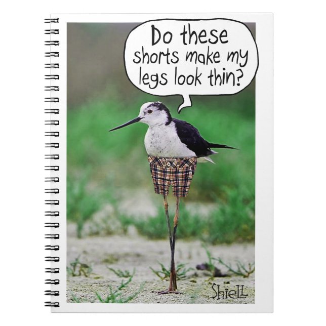 Carnet COURSES D'OISEAU FUNNY Carte ou cadeau (Devant)