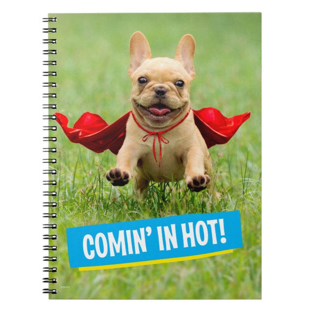 Carnet Courses mignonnes de super héros de bouledogue (Devant)