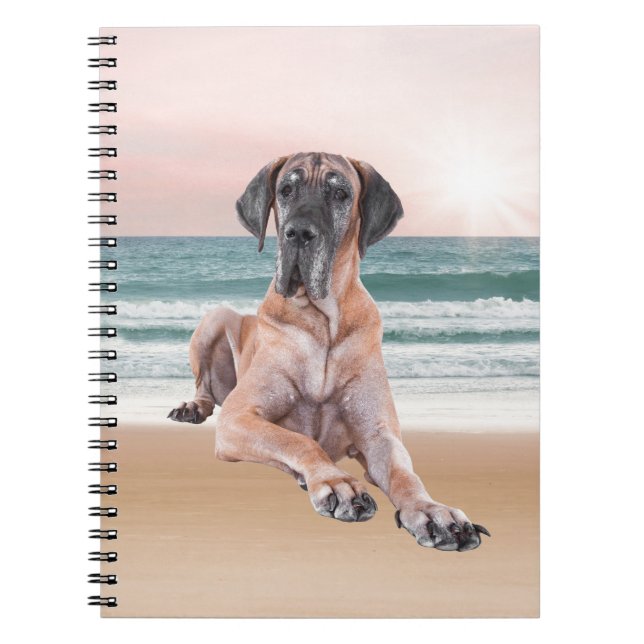 Carnet Coutume Grand Chien Danse assis sur la plage (Devant)
