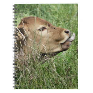 Carnet COW Cute