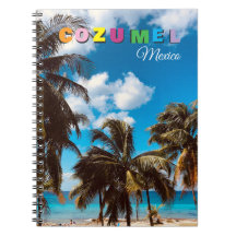 Cozumel Mexique Souvenir Voyage