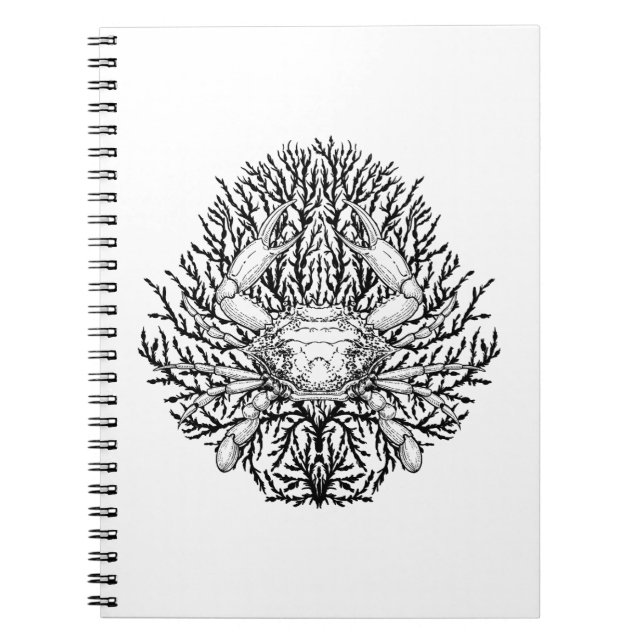 Carnet Crabe (Devant)