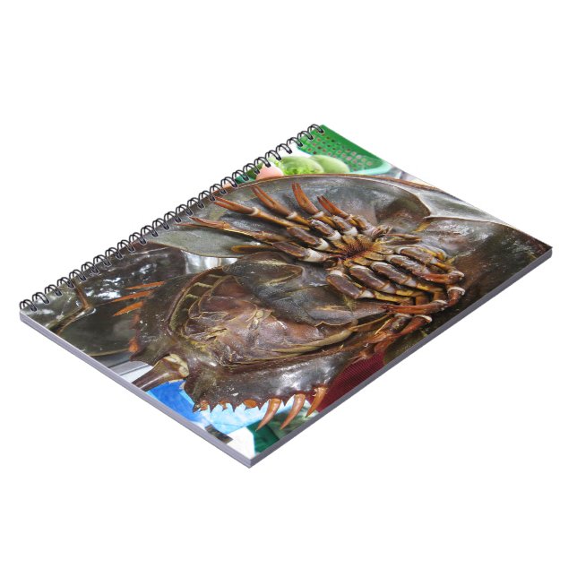 Carnet Crabe à fer à cheval ... Restauration asiatique th (Côté gauche)