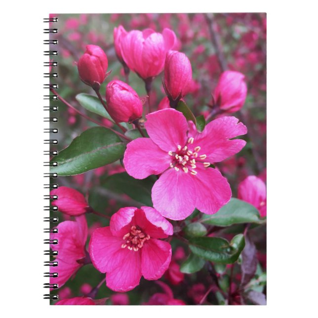 Carnet Crabelle rose à fleurs (Devant)