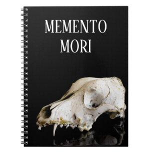 Carnet Crâne animal
