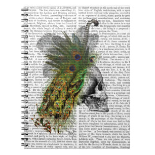 Carnet Crâne avec la plume Headress